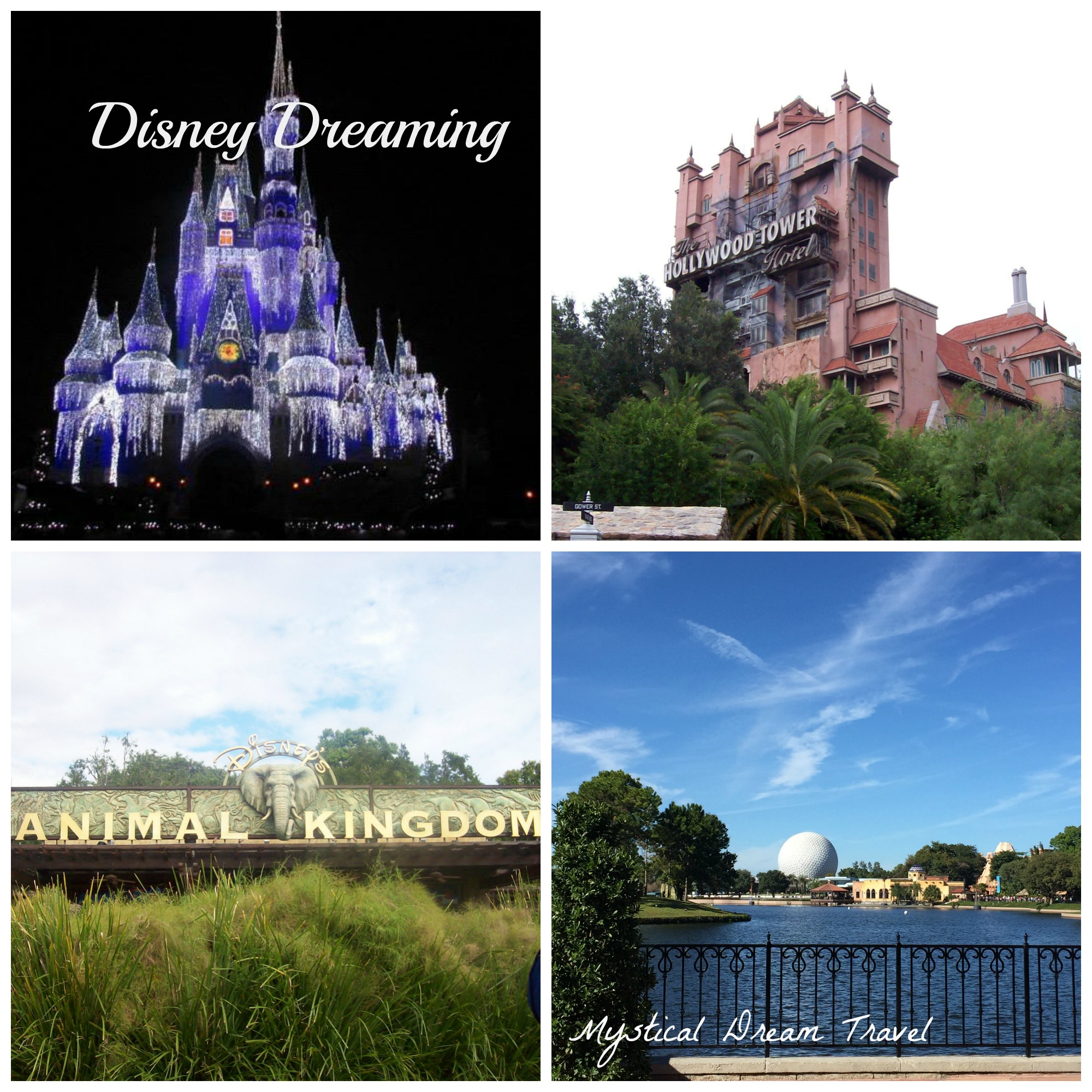 vacation package at walt disney world for two